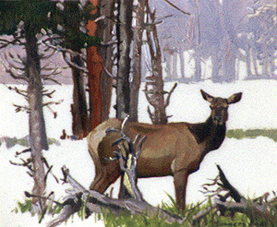 Summers End Elk Painting by Elizabeth - Betty Jean Billups