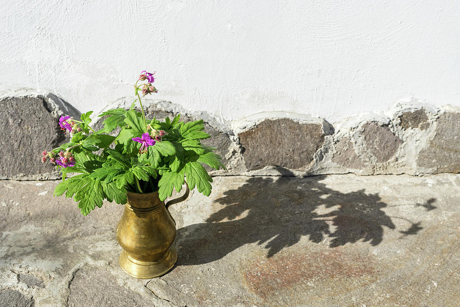 Summertime Aromatherapy - Fragrant Cranesbill Flowers in Antique Bronze Vase Photograph by Georgia Mizuleva