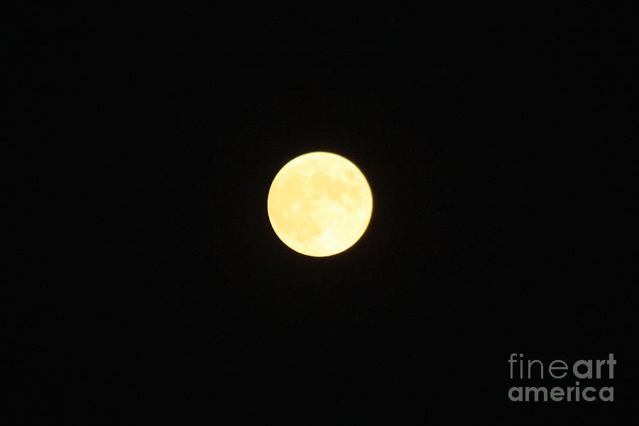 Summertime Full Moon Over Long Island Photograph by John Telfer