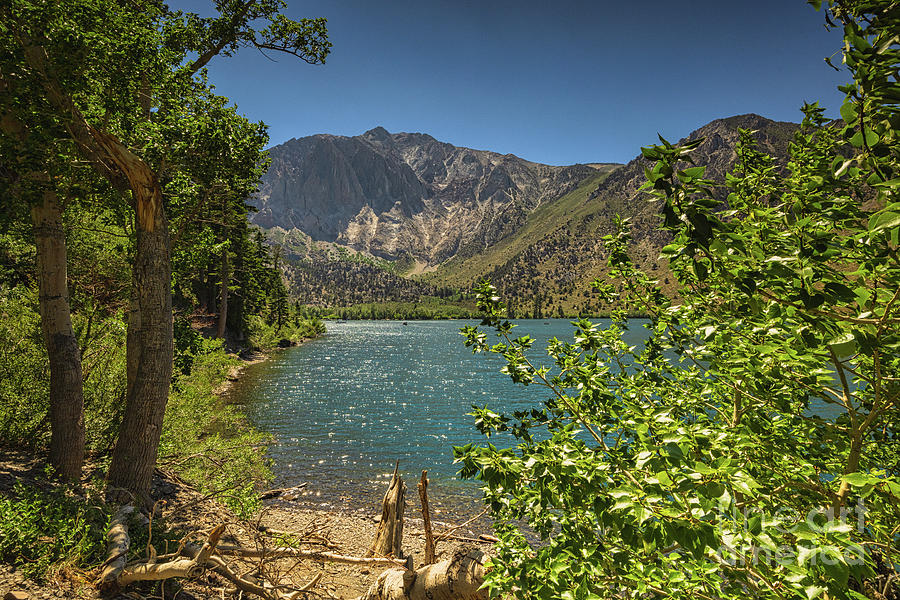 Summertime in Convict Lake Mammoth Photograph by Abigail Diane Photography
