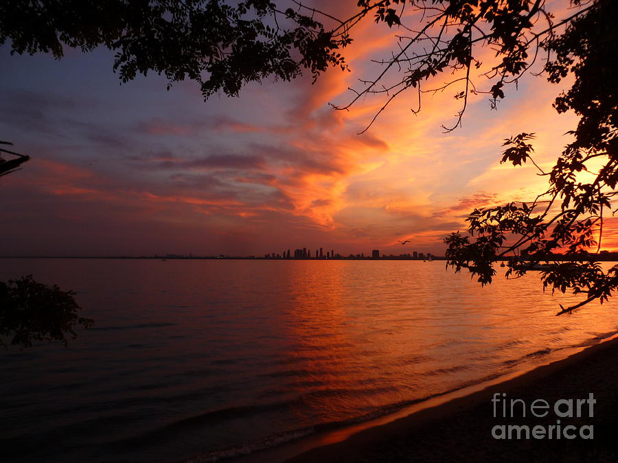 Summertime Sunset at Toronto Island Photograph by Lingfai Leung