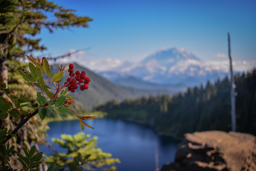 Summit Lake by Mount Rainer Digital Art by Charles Casner - Fine Art ...