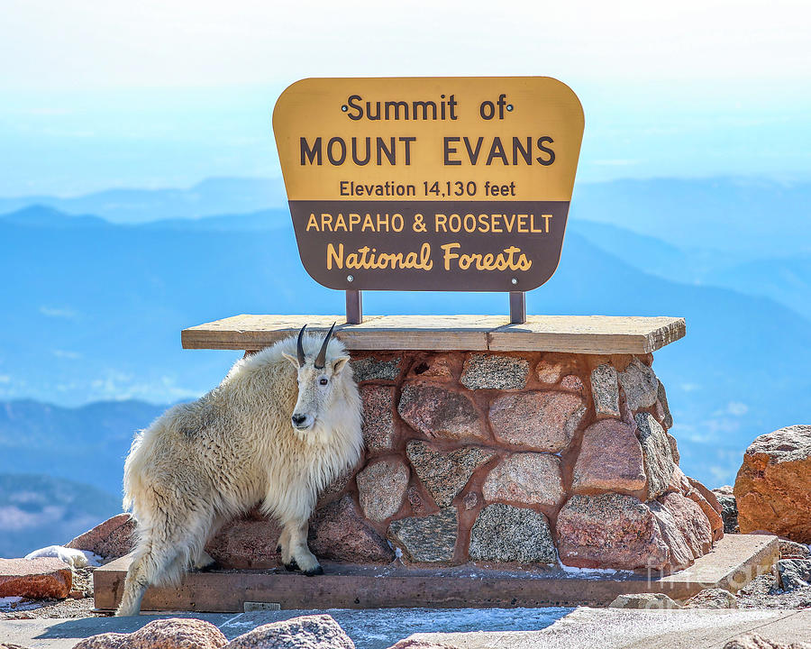 Summit of Mount Evans Colorado Photograph by Shirley Dutchkowski