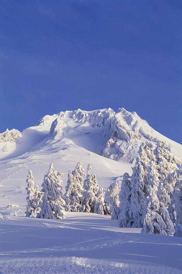 Summit of Mt. Hood , Oregon Photograph by Comstock