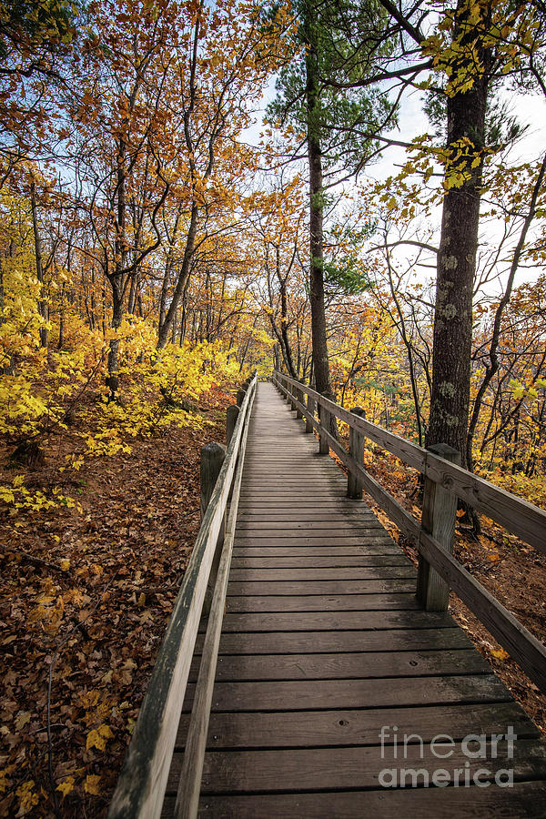Summit Peak Trail in Fall Upper Michigan Photograph by Nikki Vig