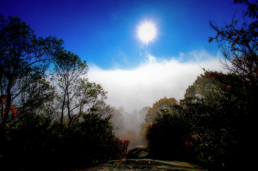 Sun above the fog  Photograph by Dan Friend
