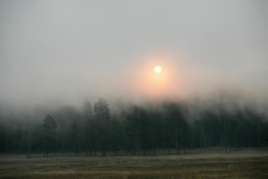 Sun And Fog Photograph