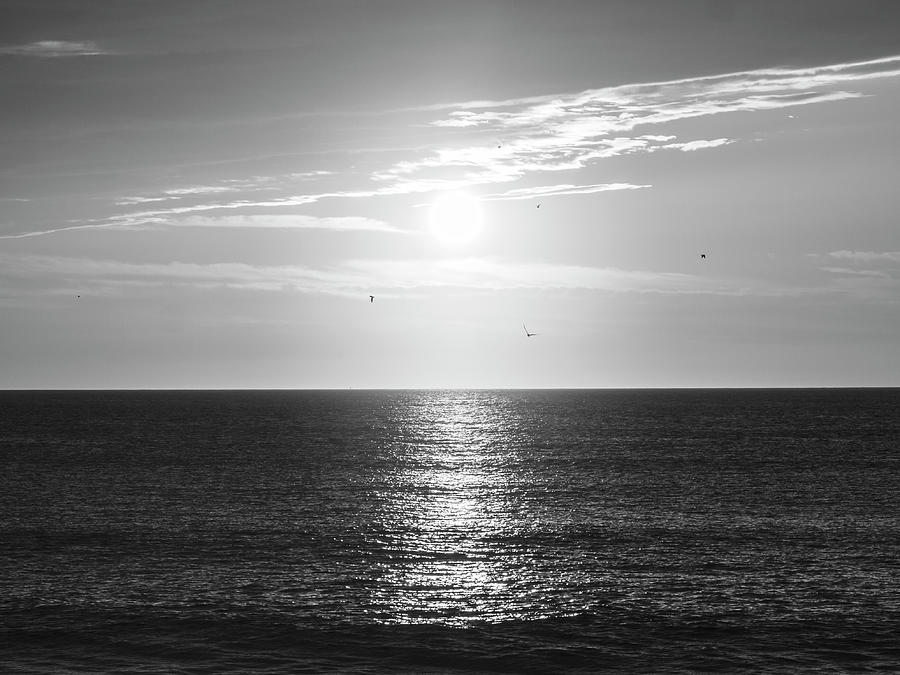 Sun and Seagulls Over the Atlantic - Black and White Photograph by Jason Fink
