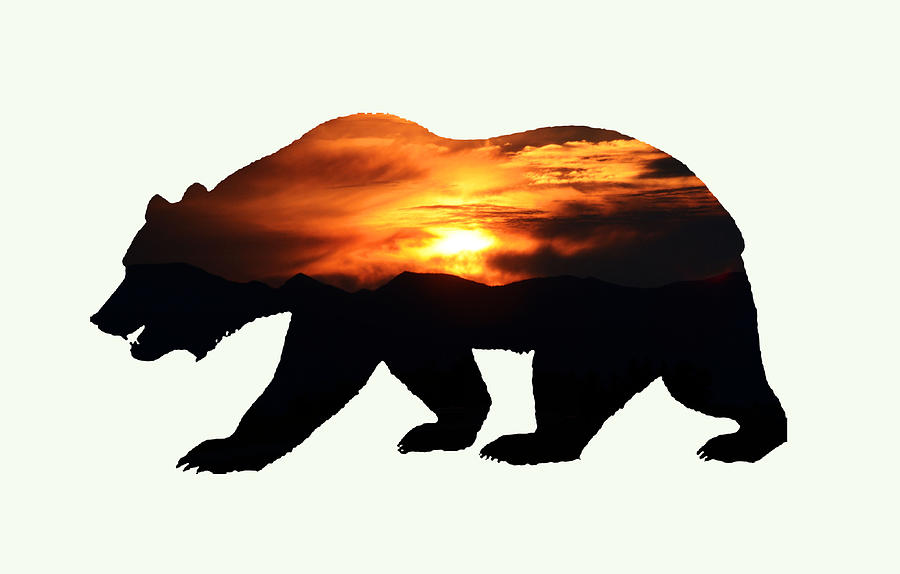 Abstract Digital Art - Sun Back Grizzly Bear by Whispering Peaks Photography