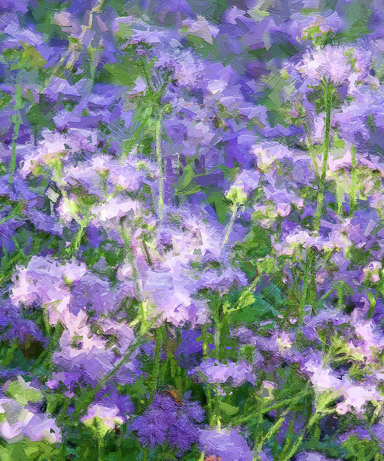 Sun Dappled Flossflower Digital Painting Photograph