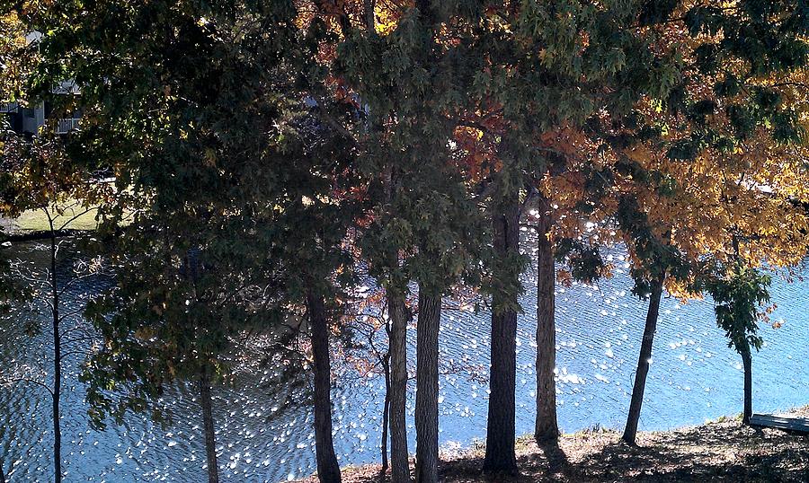 Sun Dappled Lake Photograph by Kenny Glover