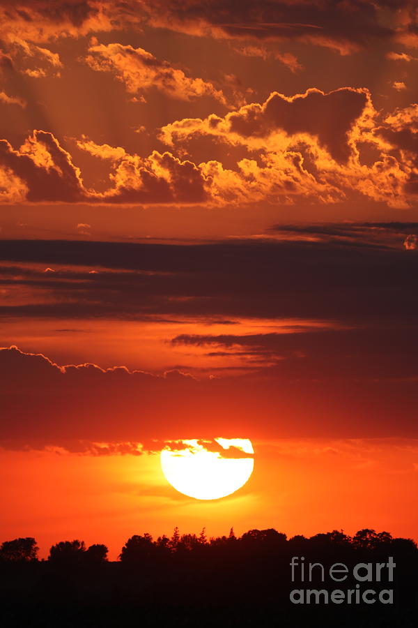 Sun Descending Photograph by Paula Guttilla