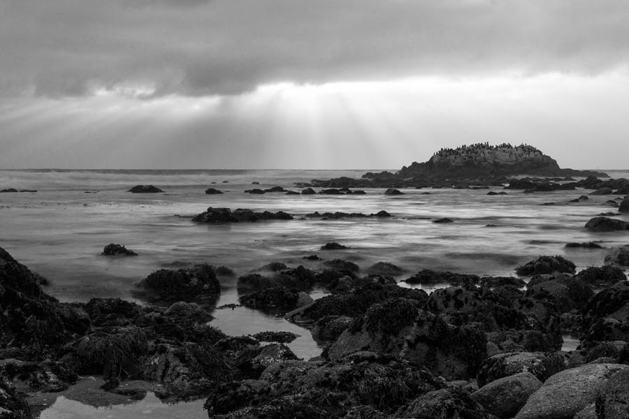Sun Down at 17 Mile Drive Photograph by Li Lin Ko Sun Down at 17 Mile Drive Photograph by Li Lin Ko
