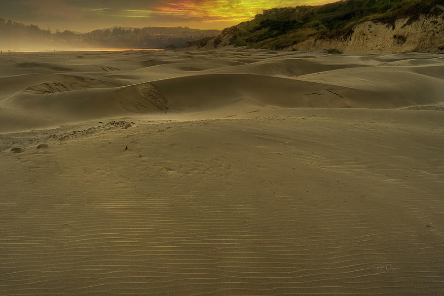 Sun Dunes  Photograph by Bill Posner