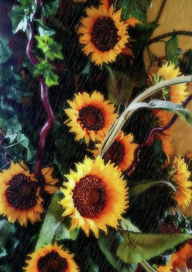Sun Flowers Photograph by Cherry Vercher Sun Flowers Photograph by Cherry Vercher