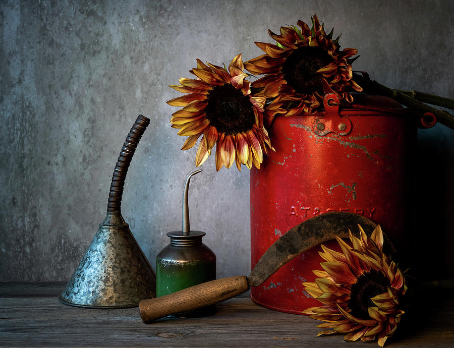 Still Life Photograph - Sun Flowers on Shed Shelf by Connie Carr