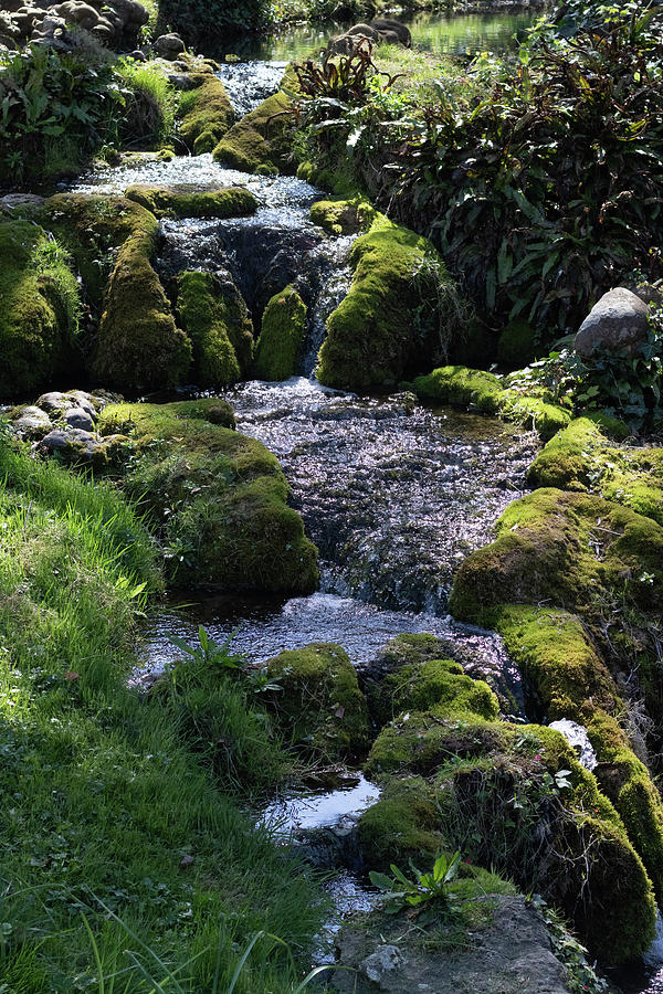 Sun glinting off a small stream Photograph by Avenue Des Images Sun glinting off a small stream Photograph by Avenue Des Images