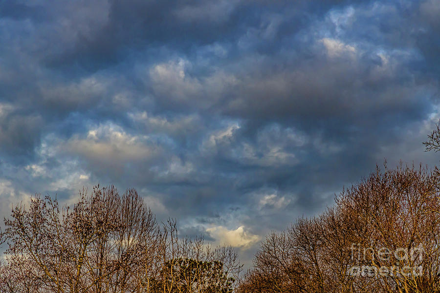 Sun Highlighting Trees and Dark Clouds Photograph by Doug Berry - Fine ...