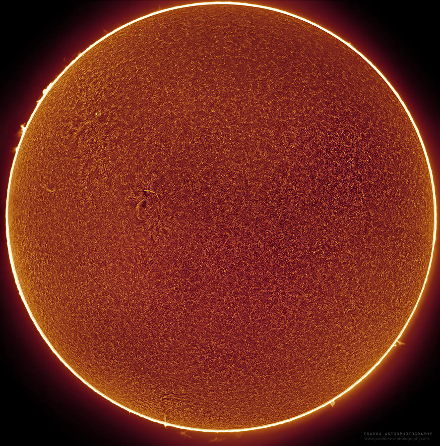Sun in Hydrogen-alpha Photograph by Prabhu Astrophotography