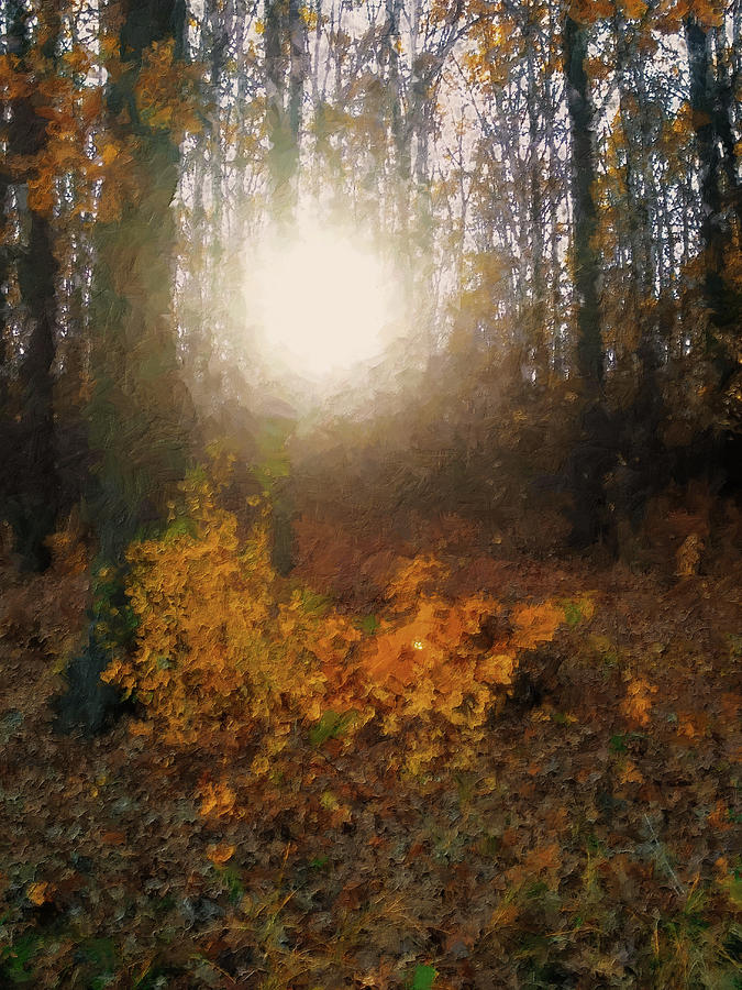 Nature Mixed Media - Sun in the Autumn Forest by Alex Mir