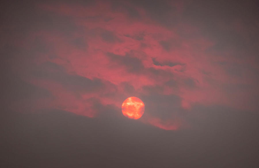 Sun Photograph - Sun In Wildfire Smoke by Phil And Karen Rispin