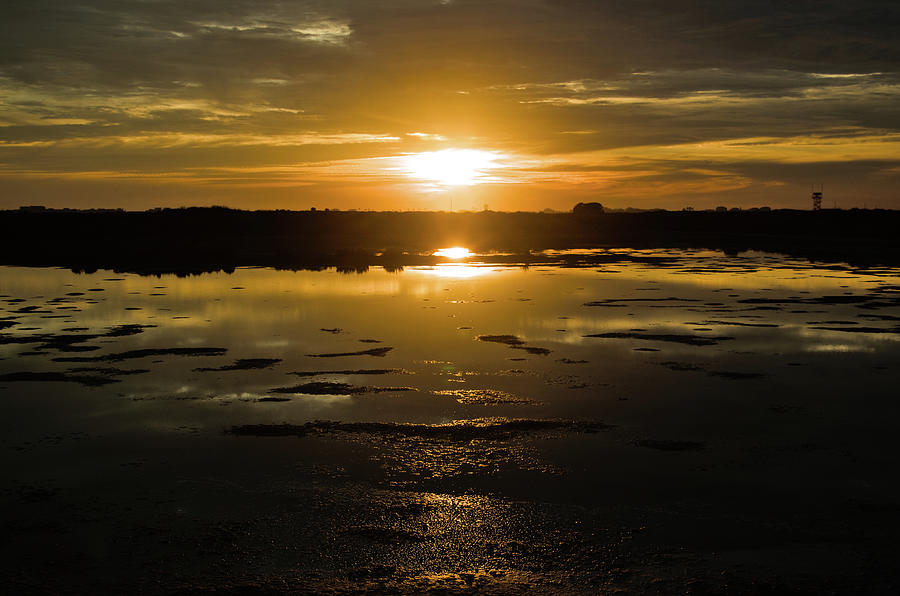 Sun Kiss at the Salt Water Ponds Photograph by Angelo DeVal