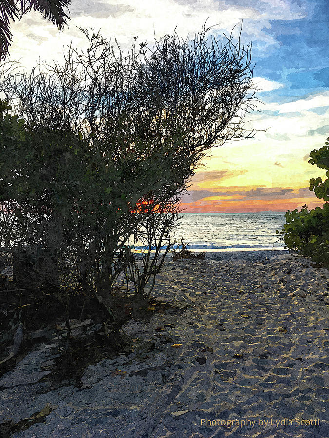 Sun Kissed Beach Path Oil1-1 Photograph by Susan Molnar