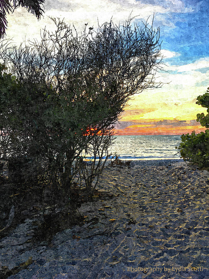 Sun Kissed Beach Path Oil1-2 Photograph by Susan Molnar