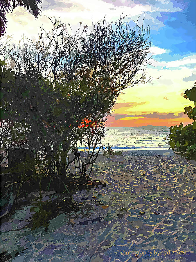 Sun Kissed Beach Path WC1-2 Photograph by Susan Molnar