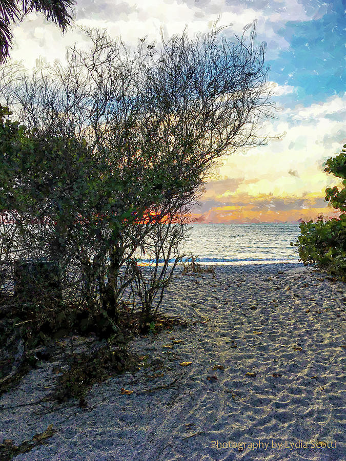 Sun Kissed Beach Path WC10-1 Photograph by Susan Molnar