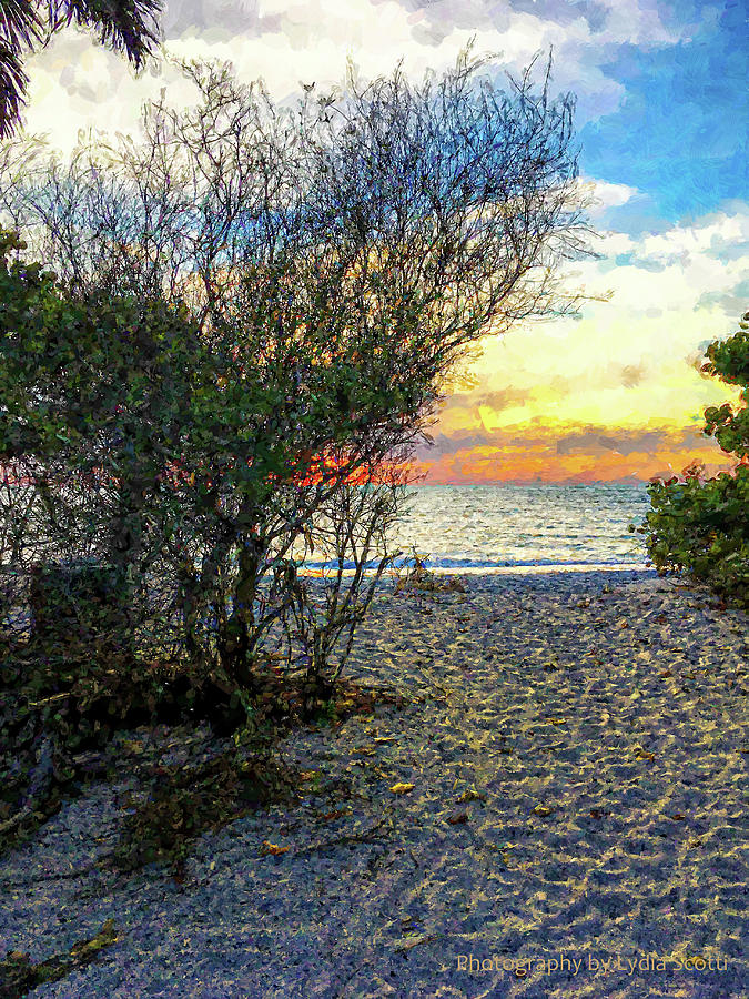 Sun Kissed Beach Path WC10-2 Photograph by Susan Molnar