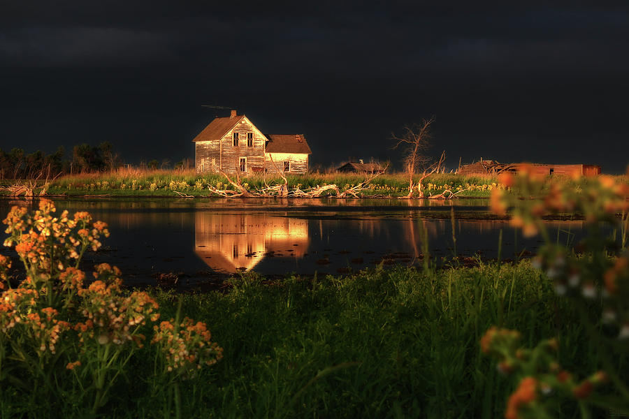 Sun-Kissed Farmstead Reflections - Stensby homestead Photograph by Peter Herman
