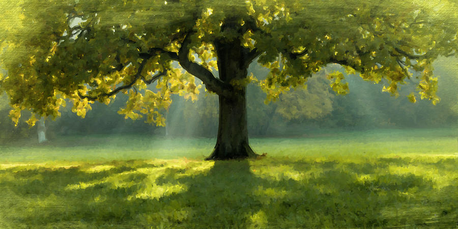 Sun Light Green Tree Painting Painting by Tony Rubino - Fine Art America