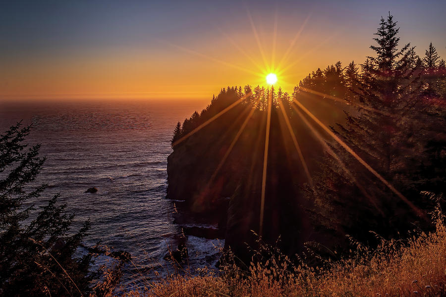 Oregon Sun Star Photograph