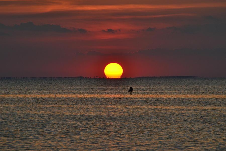 Sun Melting into the Horizon Photograph by Gaby Ethington