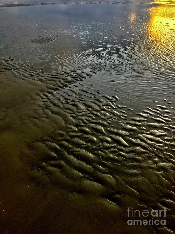 Sun on Sand Canon Beach Oregon Photograph by Suzanne Lorenz