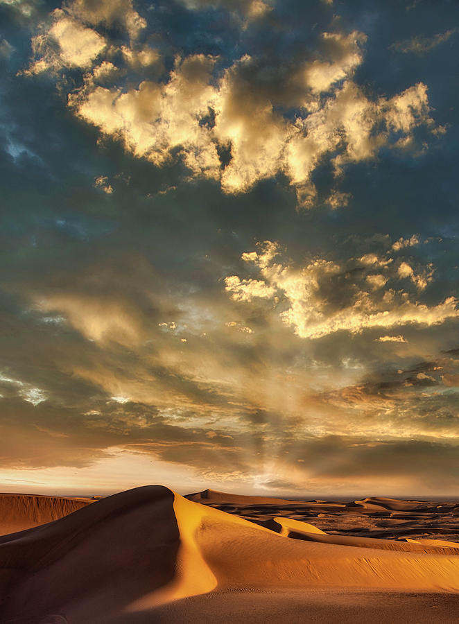 Sun On The Sands Photograph by Paul Bartell