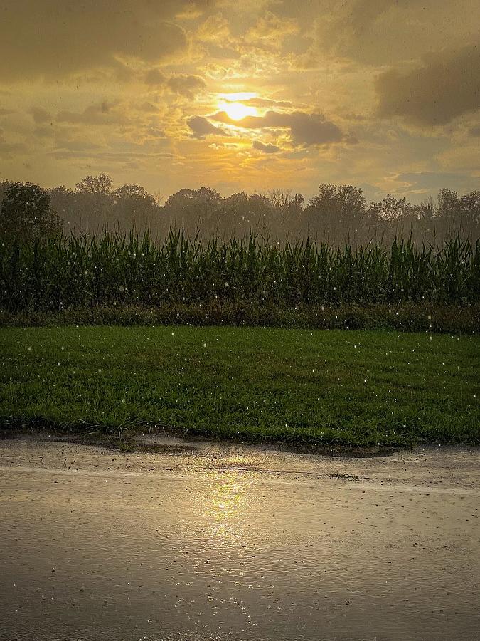 Sun rain clouds corn Photograph by Kendall McKernon