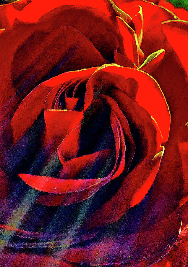 Sun Ray. Red Rose. Digital Art