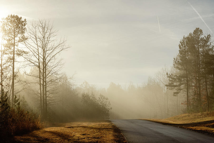 Sun Rays and Mountain Fog Photograph by Joni Eskridge