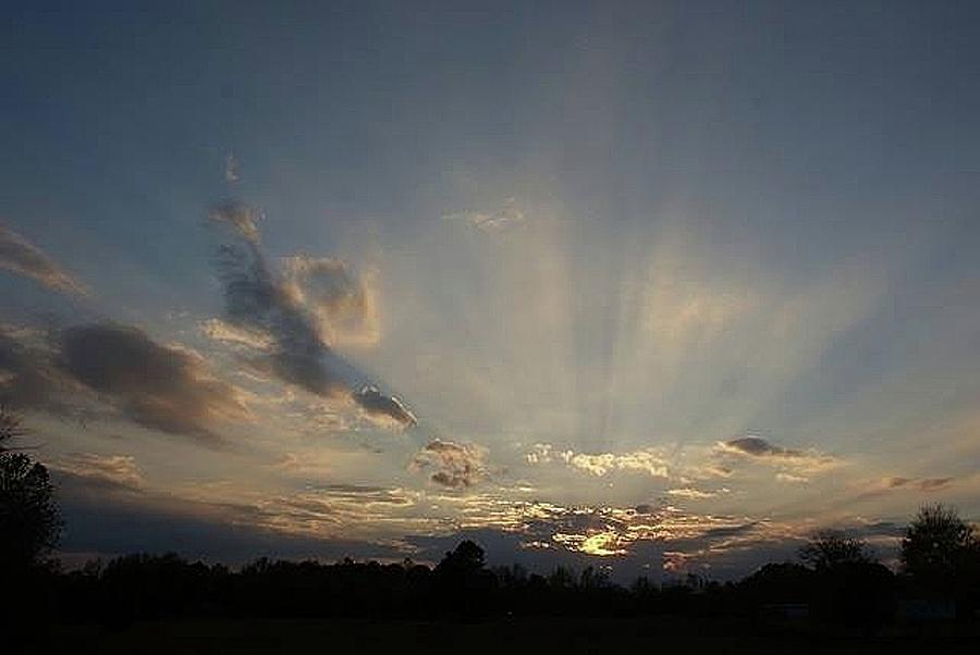 Sun Rays Photograph by Bill TALICH