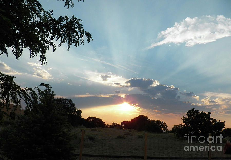 Sun Rays Photograph by Brian Commerford
