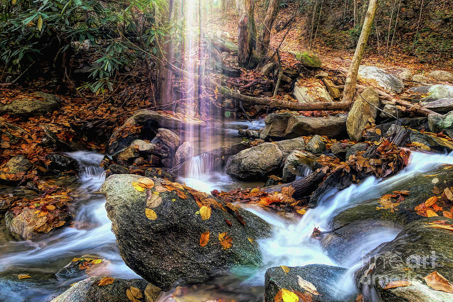 Sun Rays Catawba Falls Digital Art by Amy Dundon