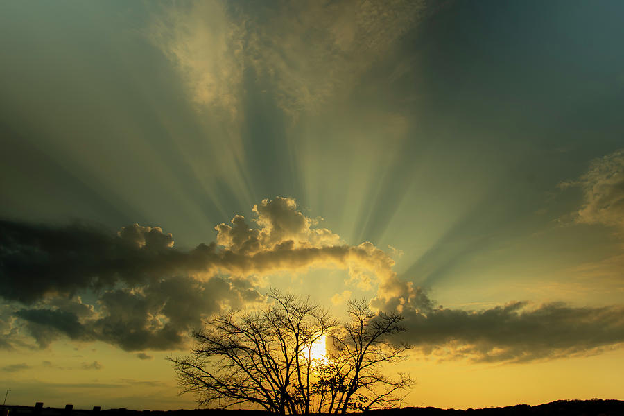 Sun Rays Landscape Photograph by Sandra Js