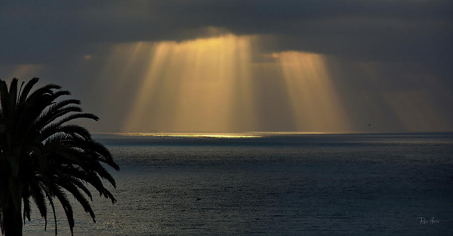 Sun Rays on The Pacific Photograph by Russ Harris