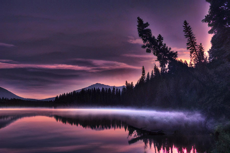 Tree Photograph - Sun Rise on Fish Lake by Phil And Karen Rispin