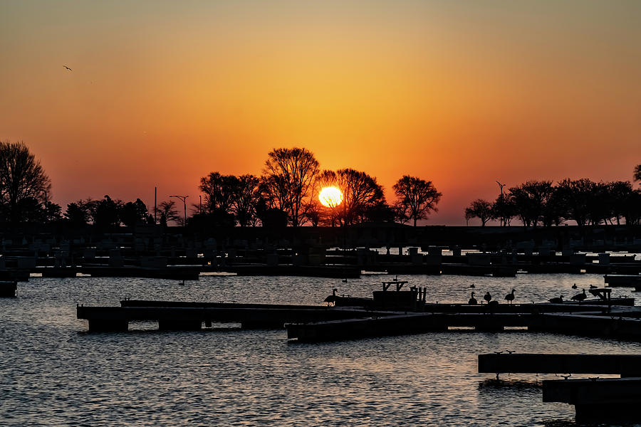 Sun rise over an empty Chicago harbor Photograph by Sven Brogren