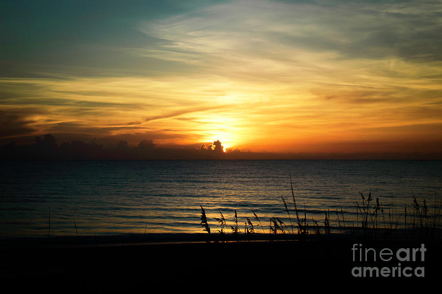 Sun Photograph - Sun Rising by Judy Hall-Folde
