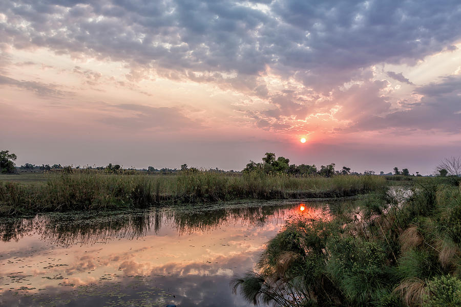 Sun Rising on the Okavango Delta Photograph by Belinda Greb