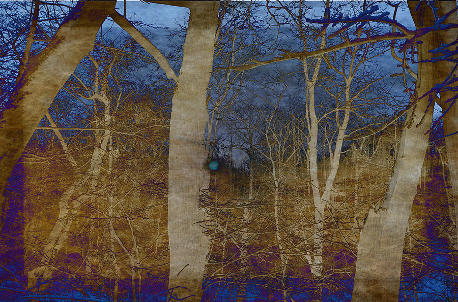 Sun Rising Through Forest Trees Digital Art by Russ Considine